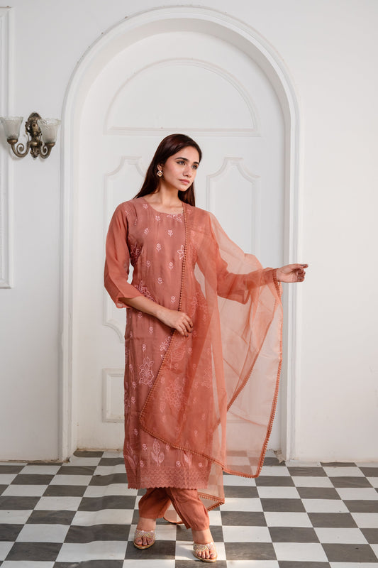 Rustic Terracotta Brown Organza Embroidered Suit Set